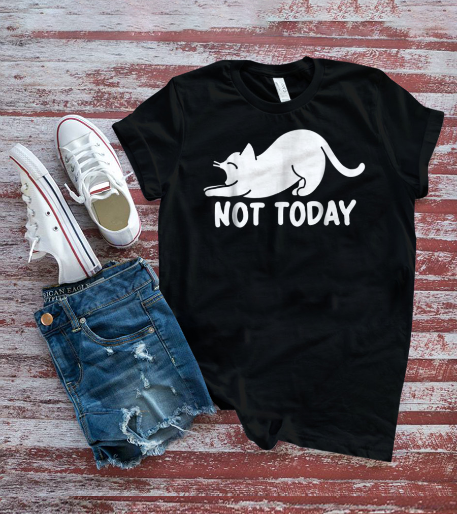 Lazy Cat Not Today Cat Lovers Cat Lady Cat T-Shirt