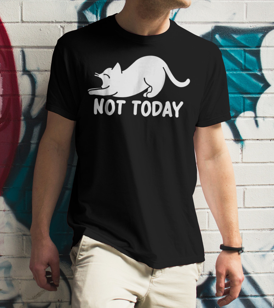 Lazy Cat Not Today Cat Lovers Cat Lady Cat T-Shirt