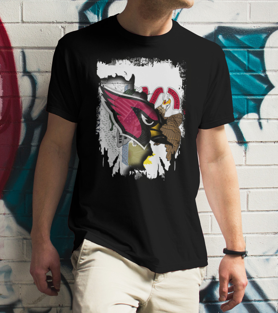 Illinois Pride With Fierce Cardinals Unity T-Shirt