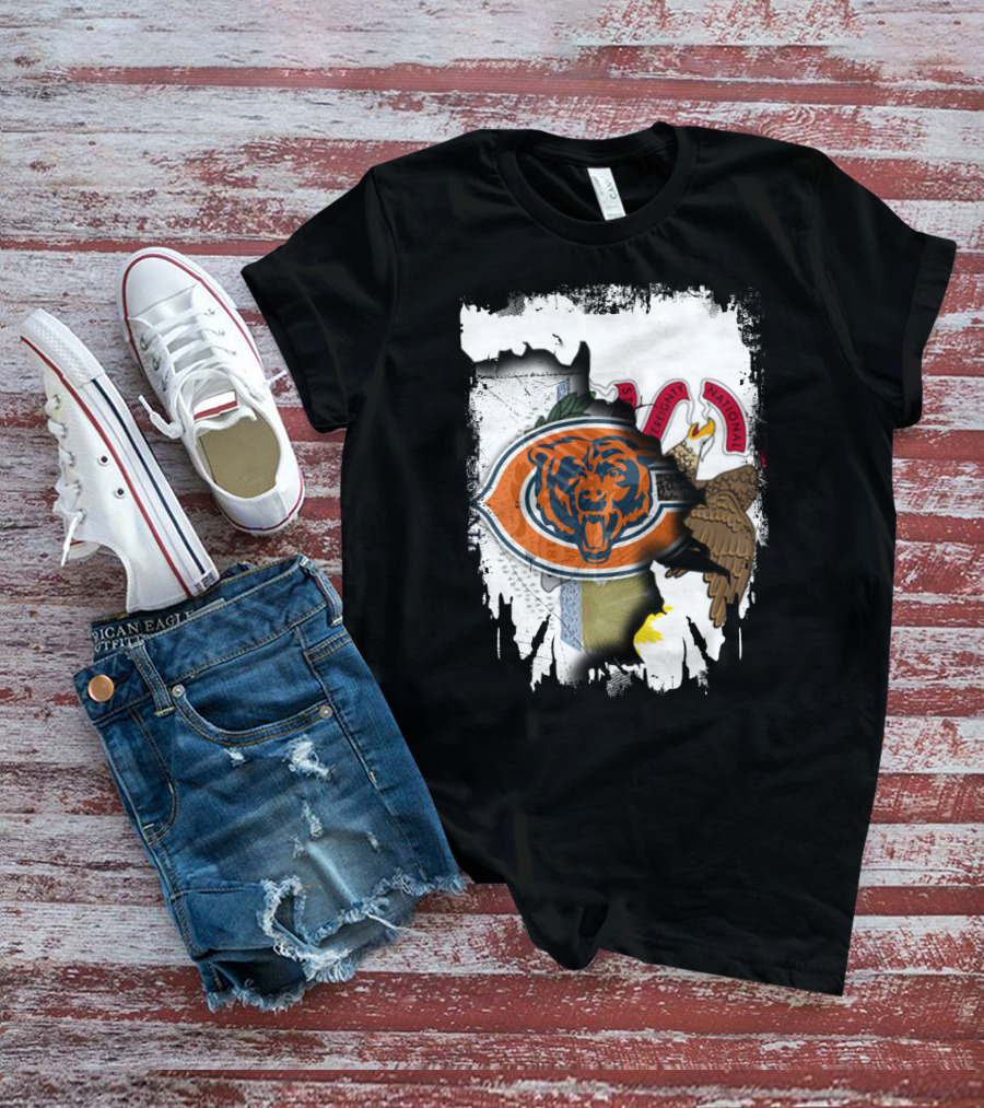 Illinois Pride With Chicago Bears And State Seal T-Shirt