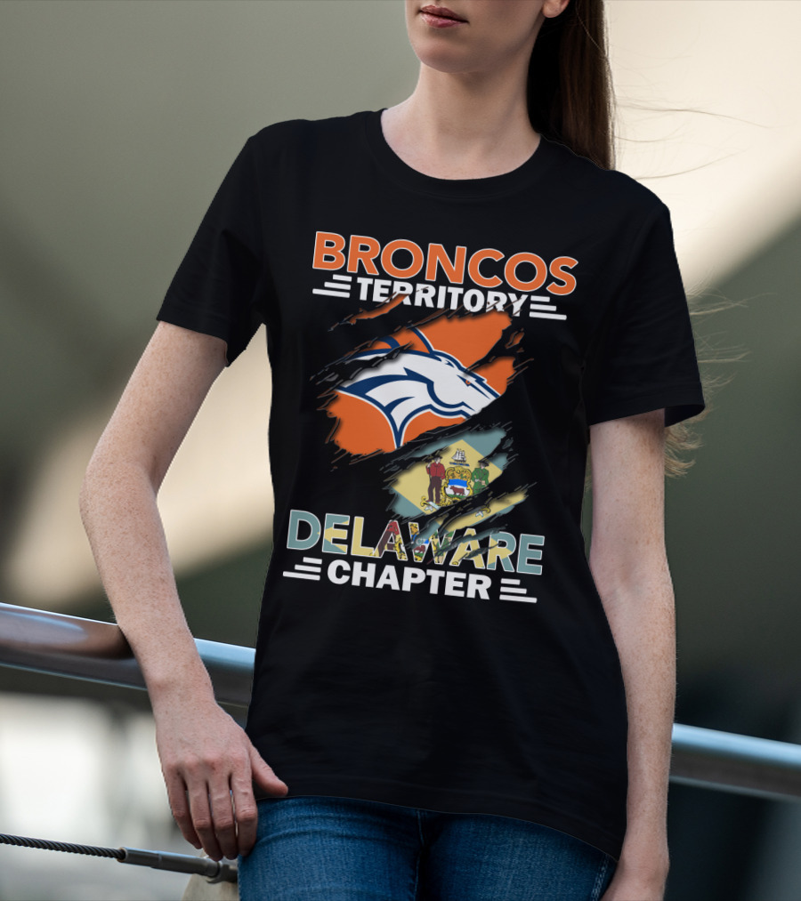 Broncos Territory Delaware Chapter State Flag And Logo Elements T-Shirt