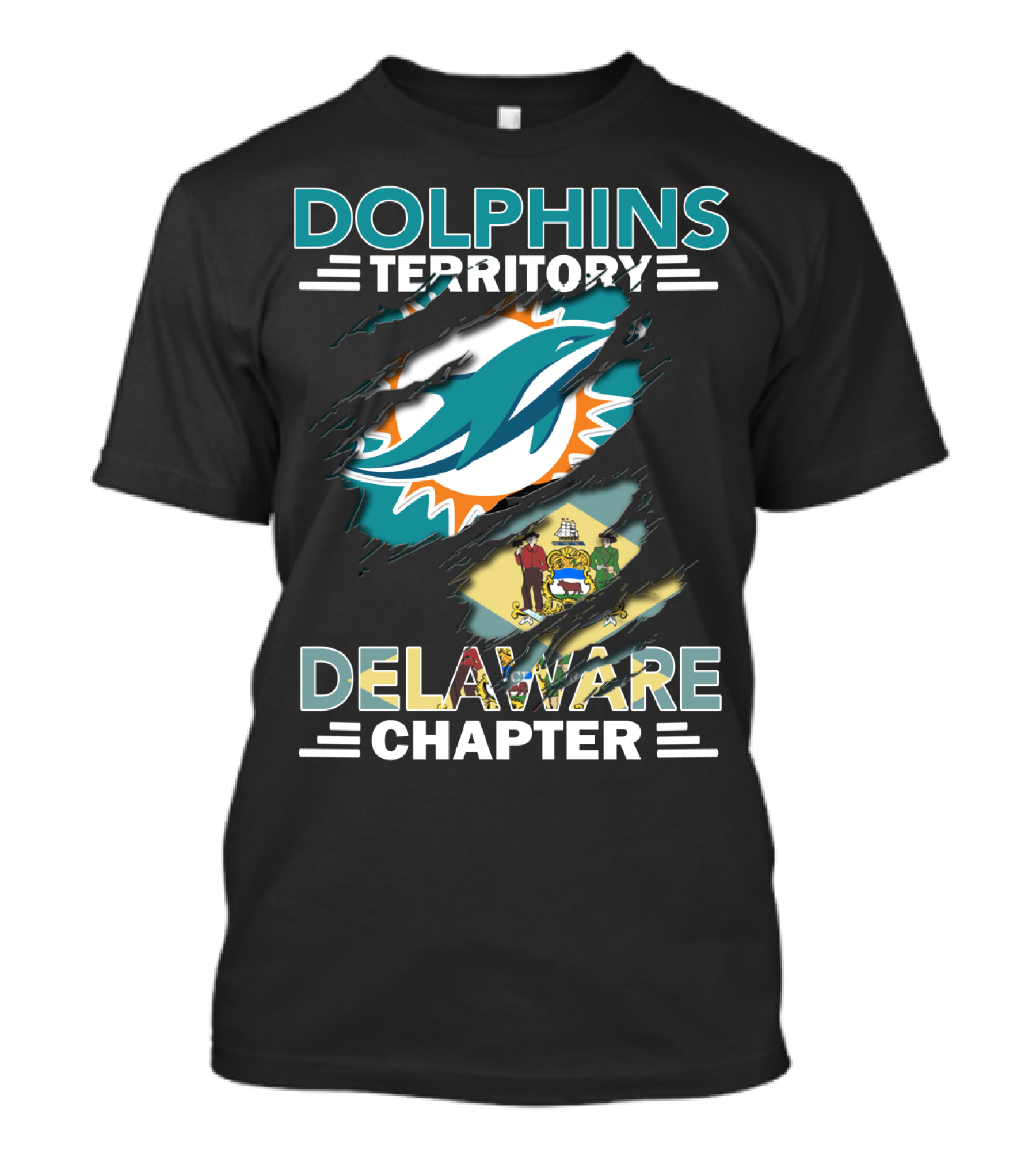 Dolphins Territory Delaware Chapter Miami Sports Fan Flag T-Shirt