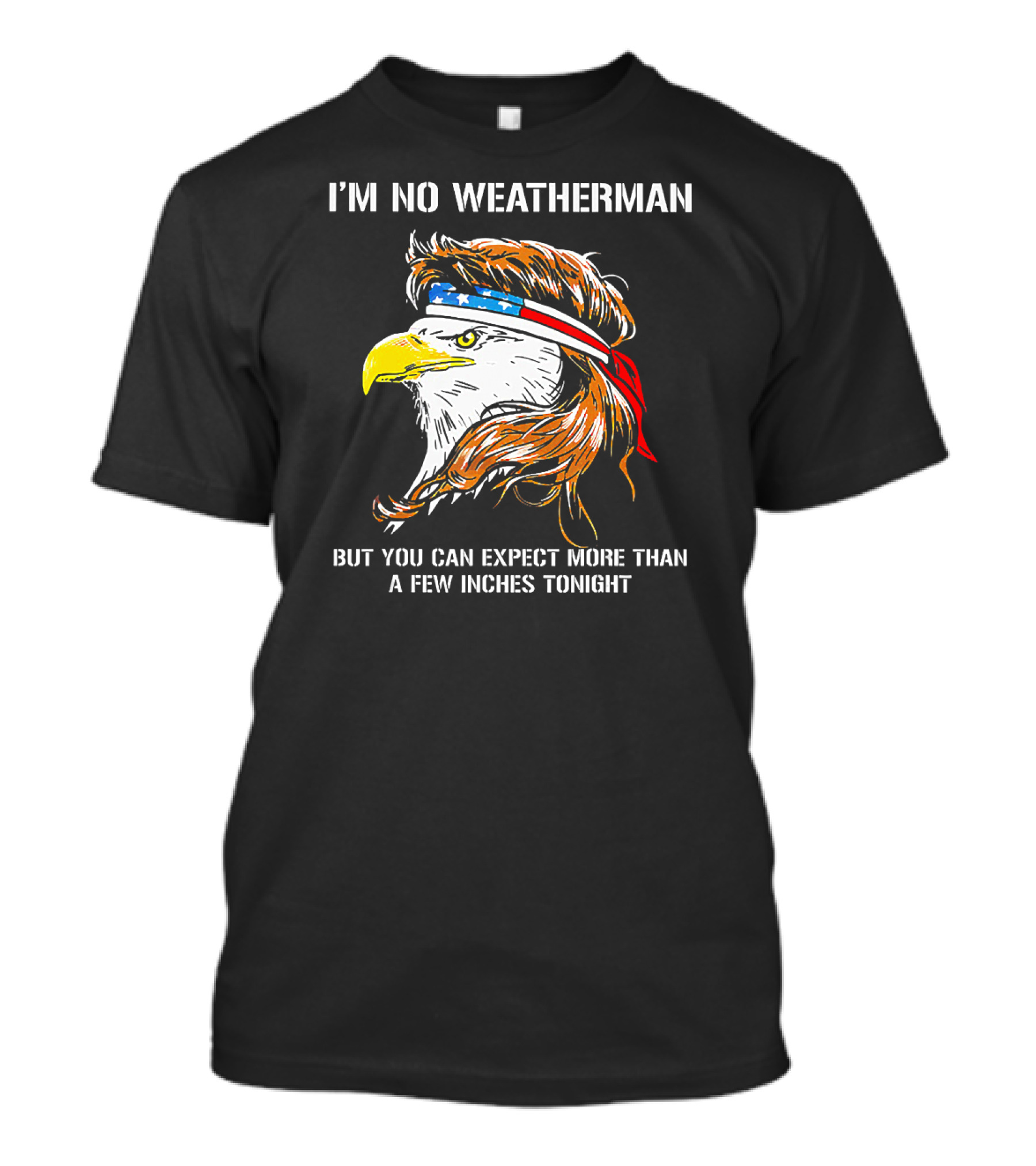 I'm No Weatherman But You Can Expect More Than A Few Inches Tonight Eagle Headband T-Shirt
