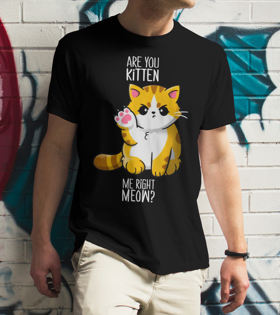 Are You Kitten Me Right Meow Cute Kitty T-Shirt