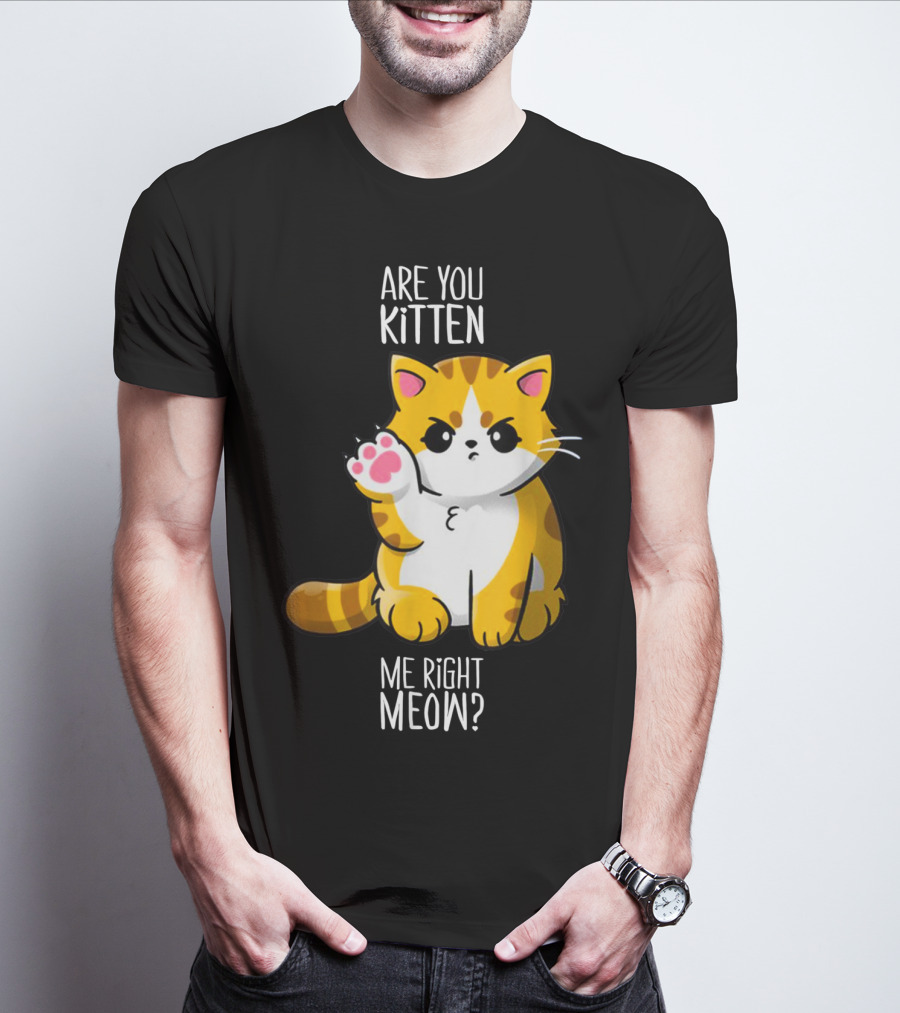 Are You Kitten Me Right Meow Cute Kitty T-Shirt