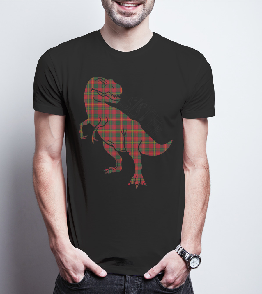 Sister Red Plaid Dinosaur T-Shirt