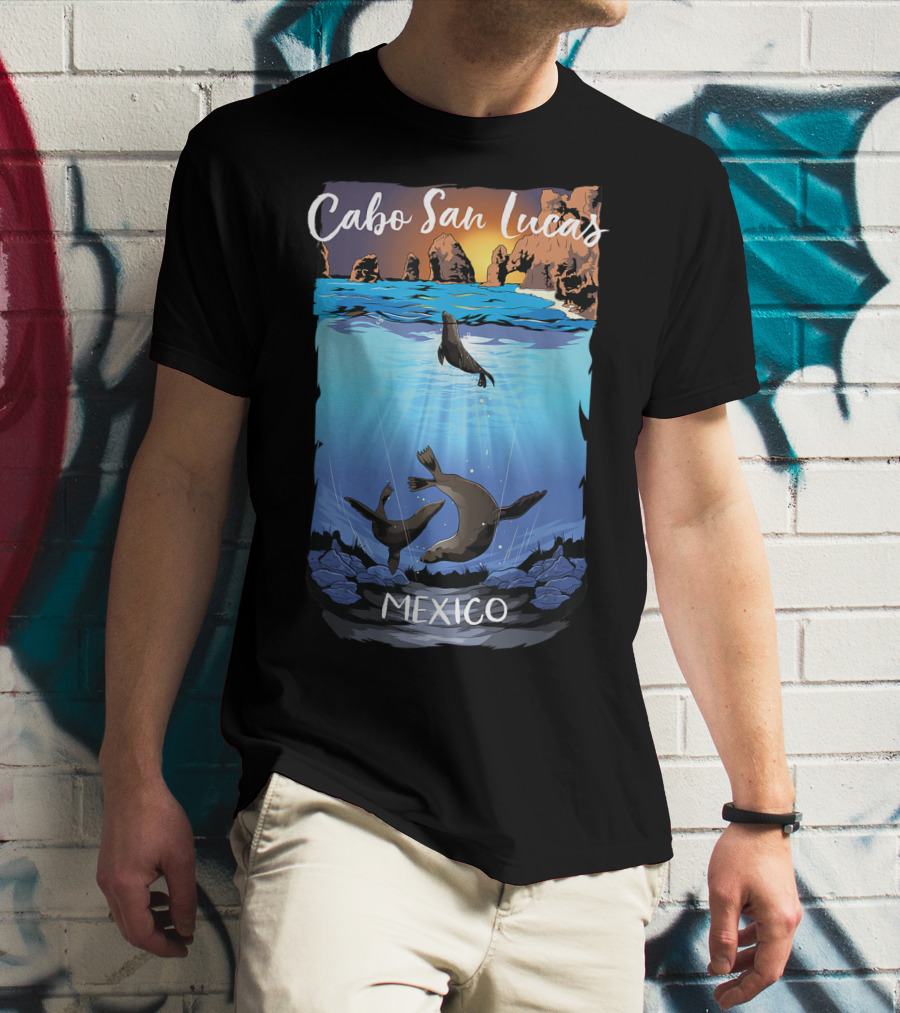 Cabo San Lucas Mexico Seals Ocean Rocks T-Shirt