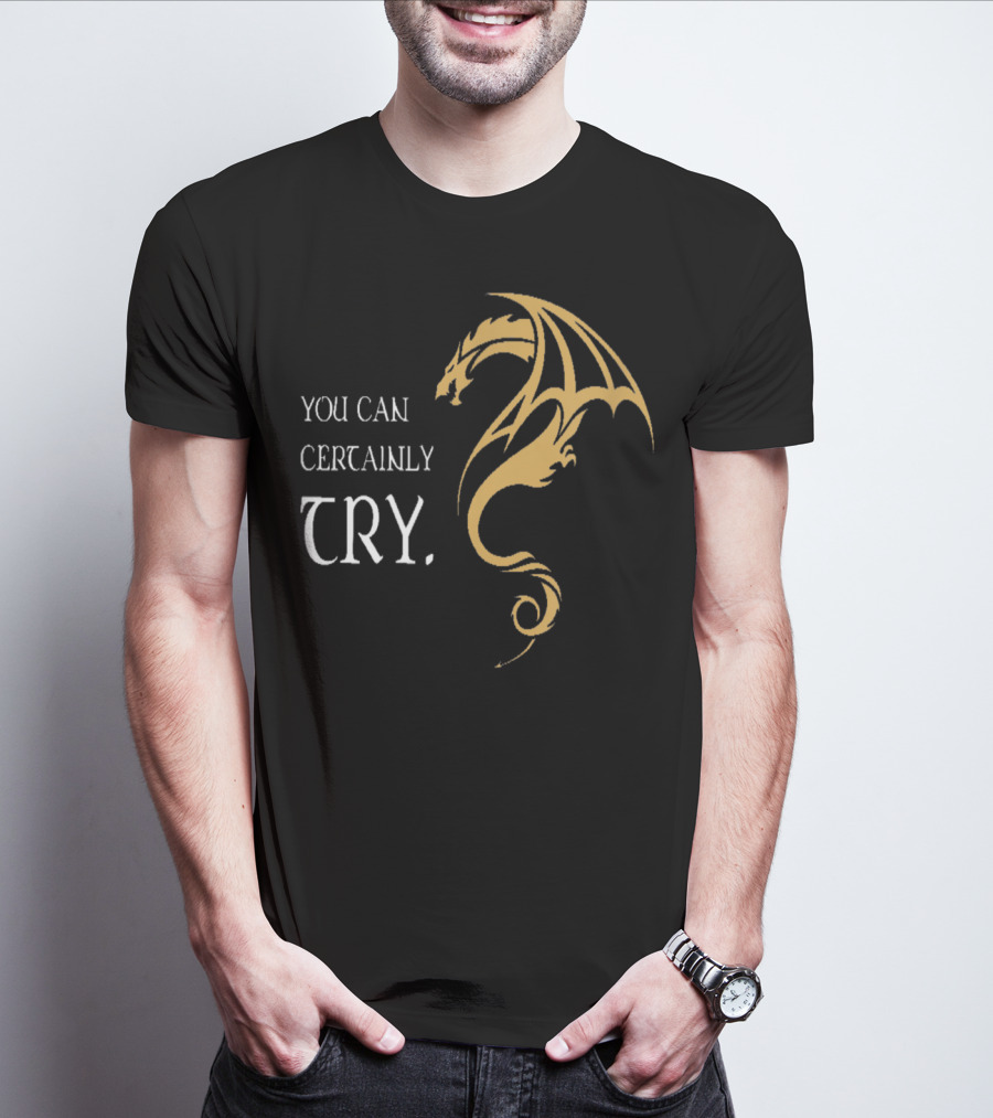 You Can Certainly Try Dragon Fire Dungeons Fantasy T-Shirt