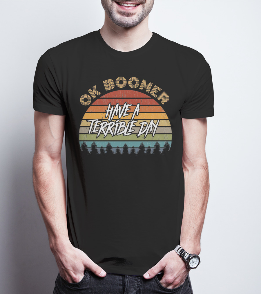 Retro Vintage Sunset Ok Boomer Have A Terrible Day T-Shirt