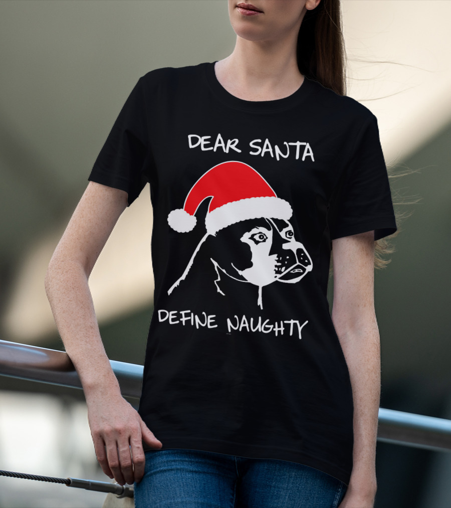 Dear Santa Define Naughty Boxer Funny Ugly Xmas Dog Lovers T-Shirt
