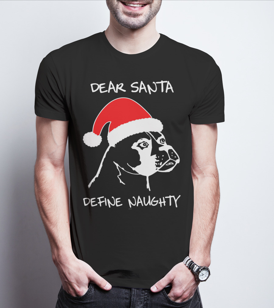 Dear Santa Define Naughty Boxer Funny Ugly Xmas Dog Lovers T-Shirt