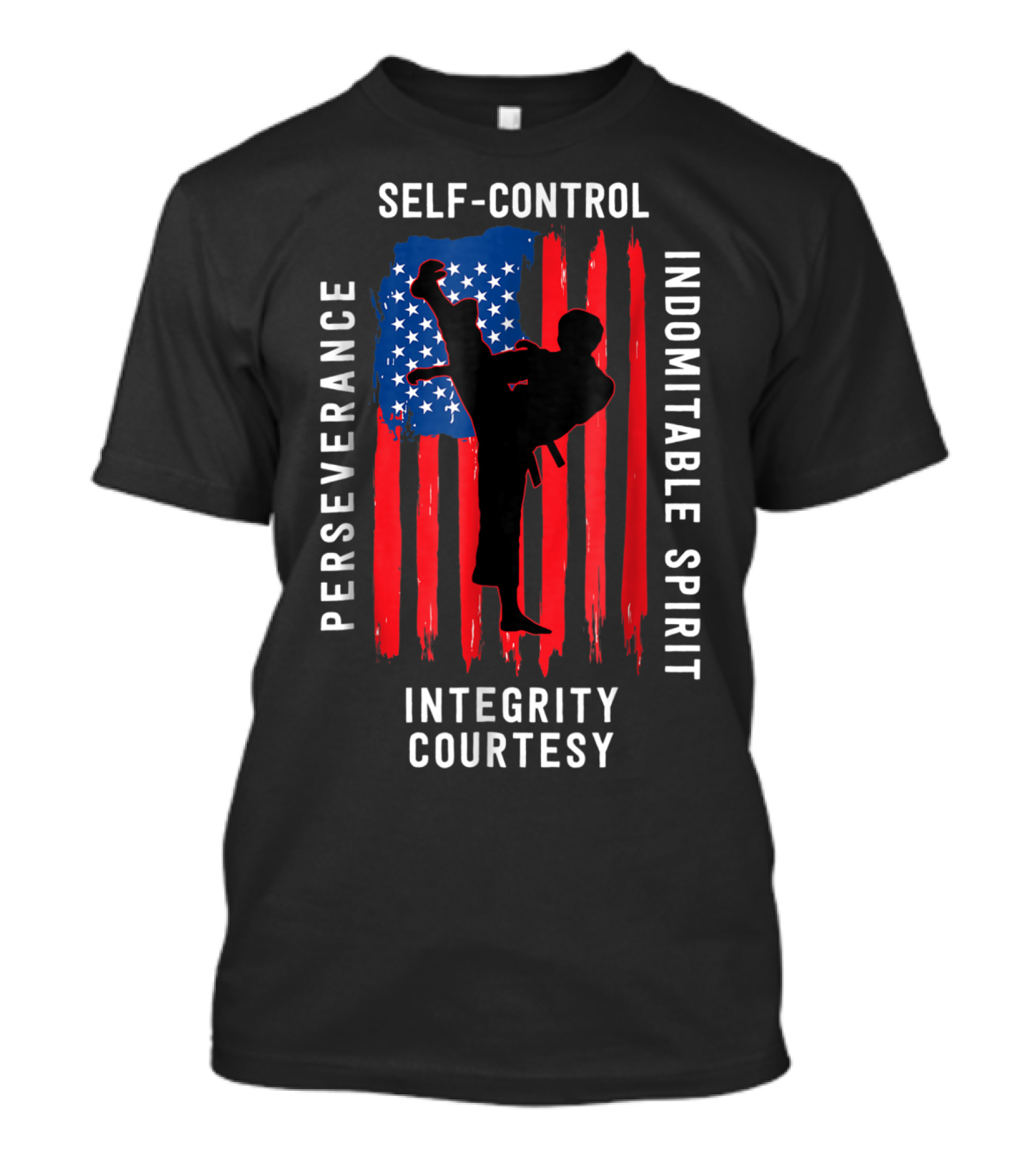 Taekwondo USA Flag Perseverance Courtesy Integrity Self-Control Indomitable Spirit T-Shirt