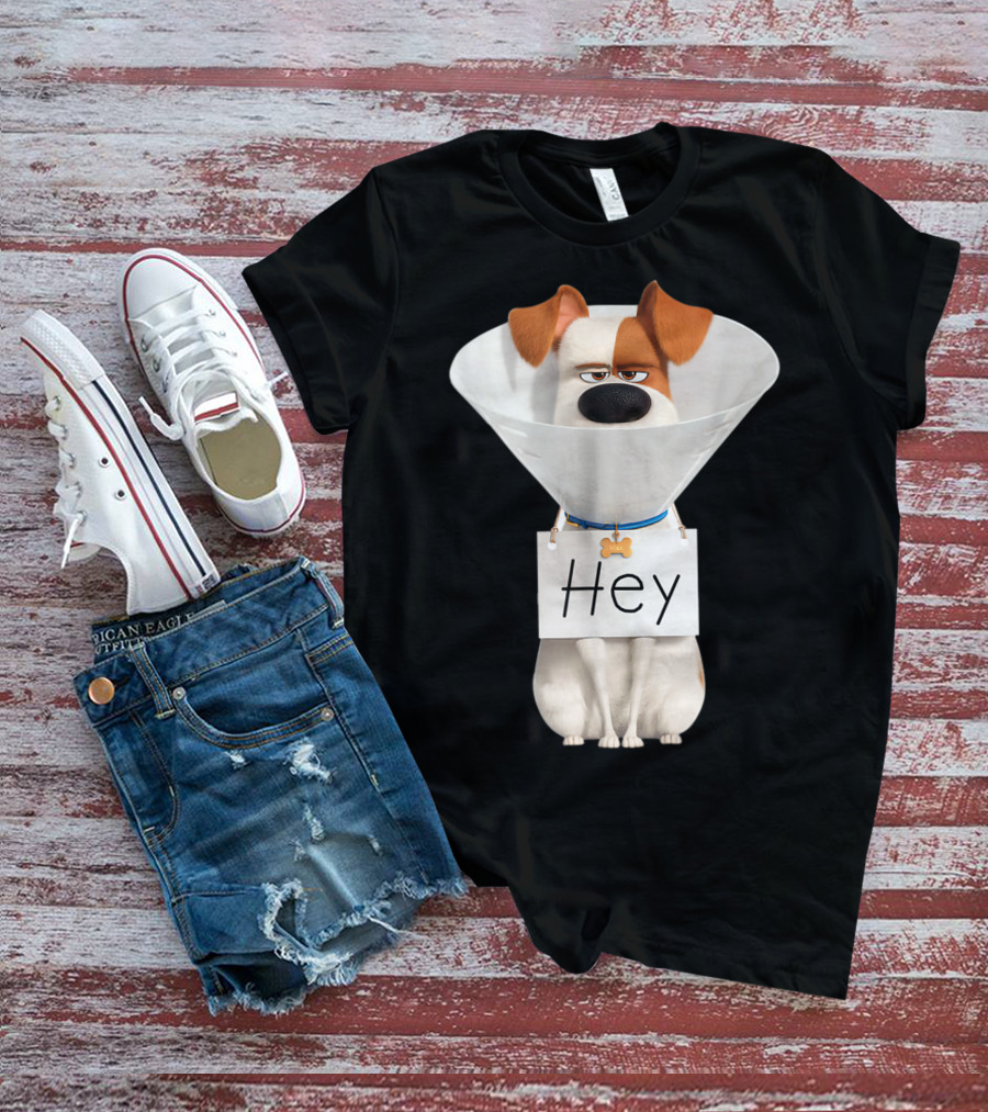 Hey Max Dog Cone Humor T-Shirt