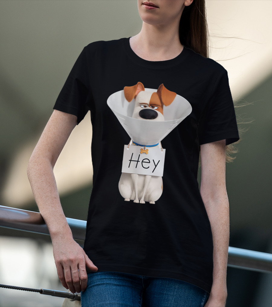 Hey Max Dog Cone Humor T-Shirt