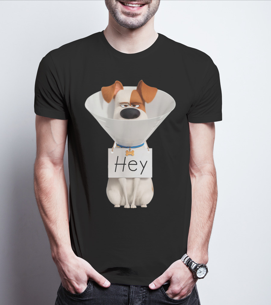 Hey Max Dog Cone Humor T-Shirt