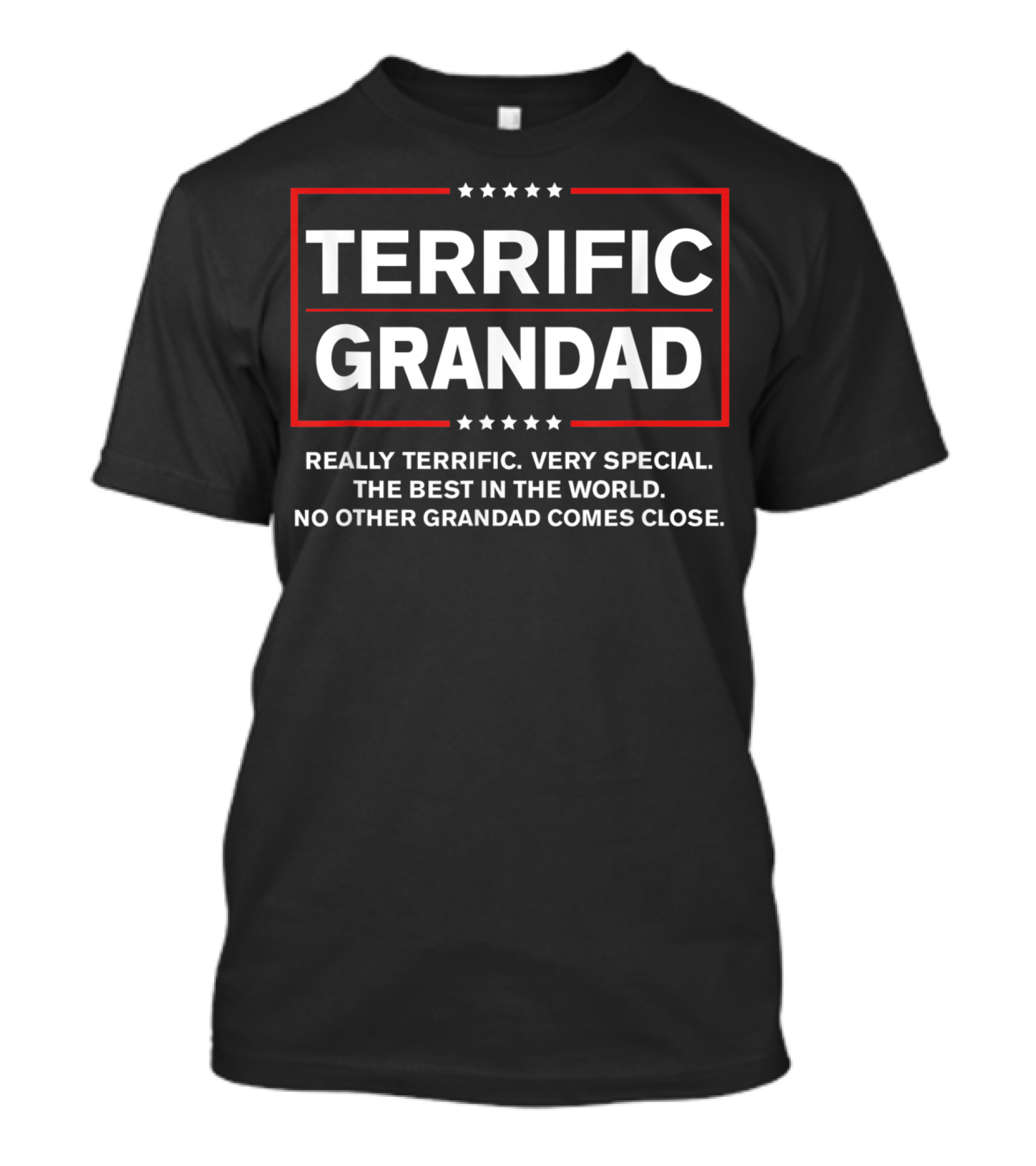 Terrific Grandad Really Terrific Very Special The Best In The World No Other Grandad Comes Close T-Shirt
