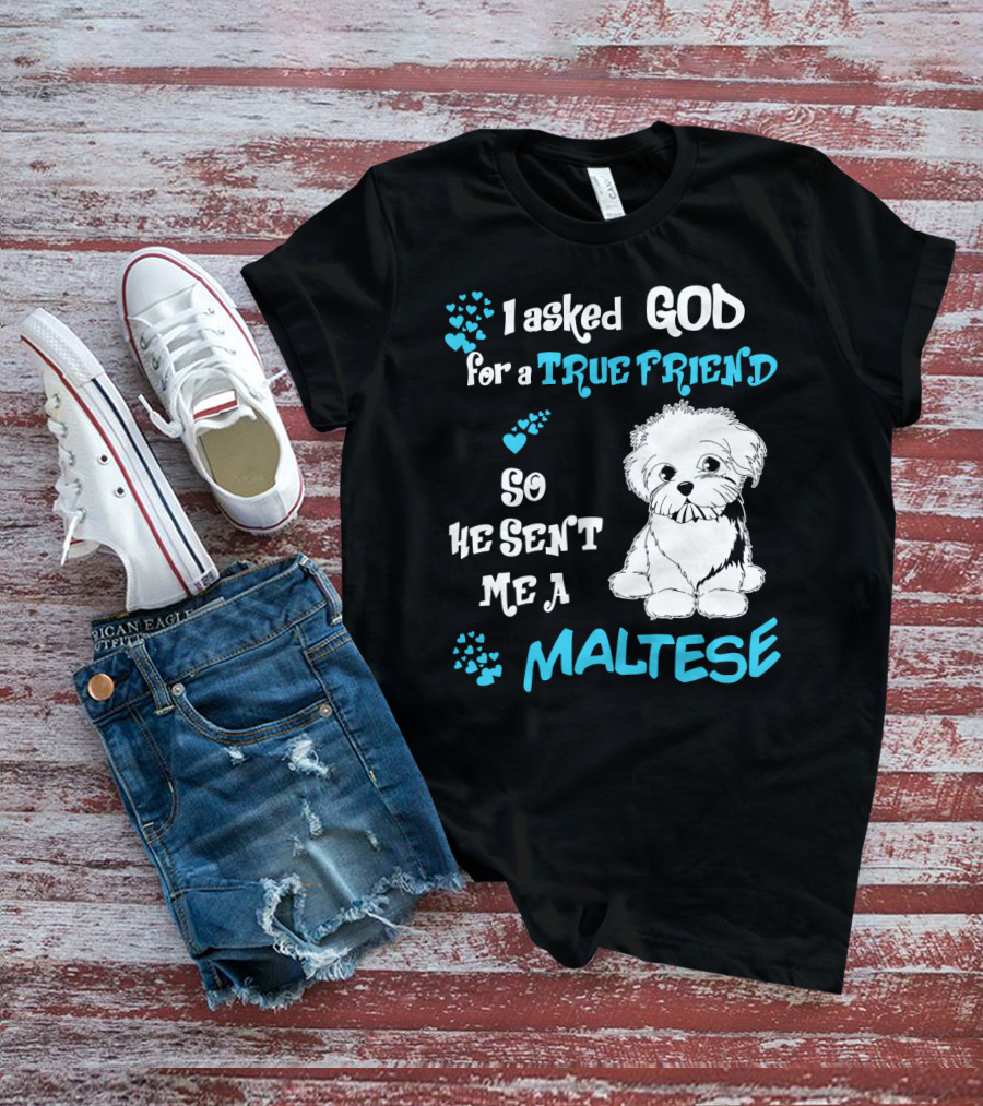 God Sent Me A True Friend Maltese Dog So He Sent Me A Maltese T-Shirt