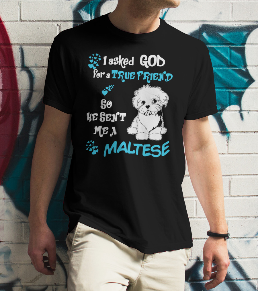 God Sent Me A True Friend Maltese Dog So He Sent Me A Maltese T-Shirt
