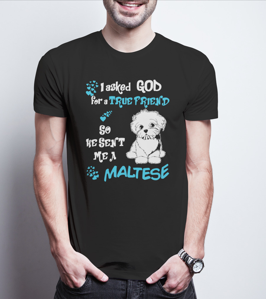 God Sent Me A True Friend Maltese Dog So He Sent Me A Maltese T-Shirt
