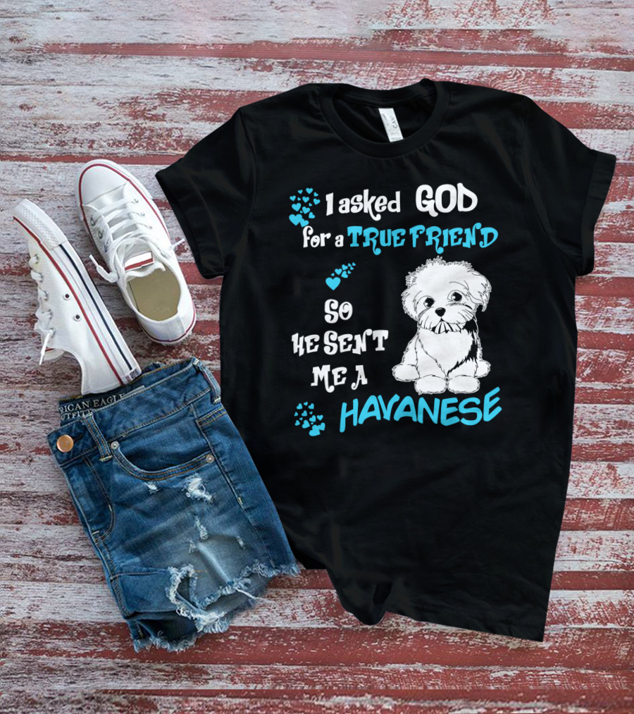 I Asked God For A True Friend So He Sent Me A Havanese T-Shirt