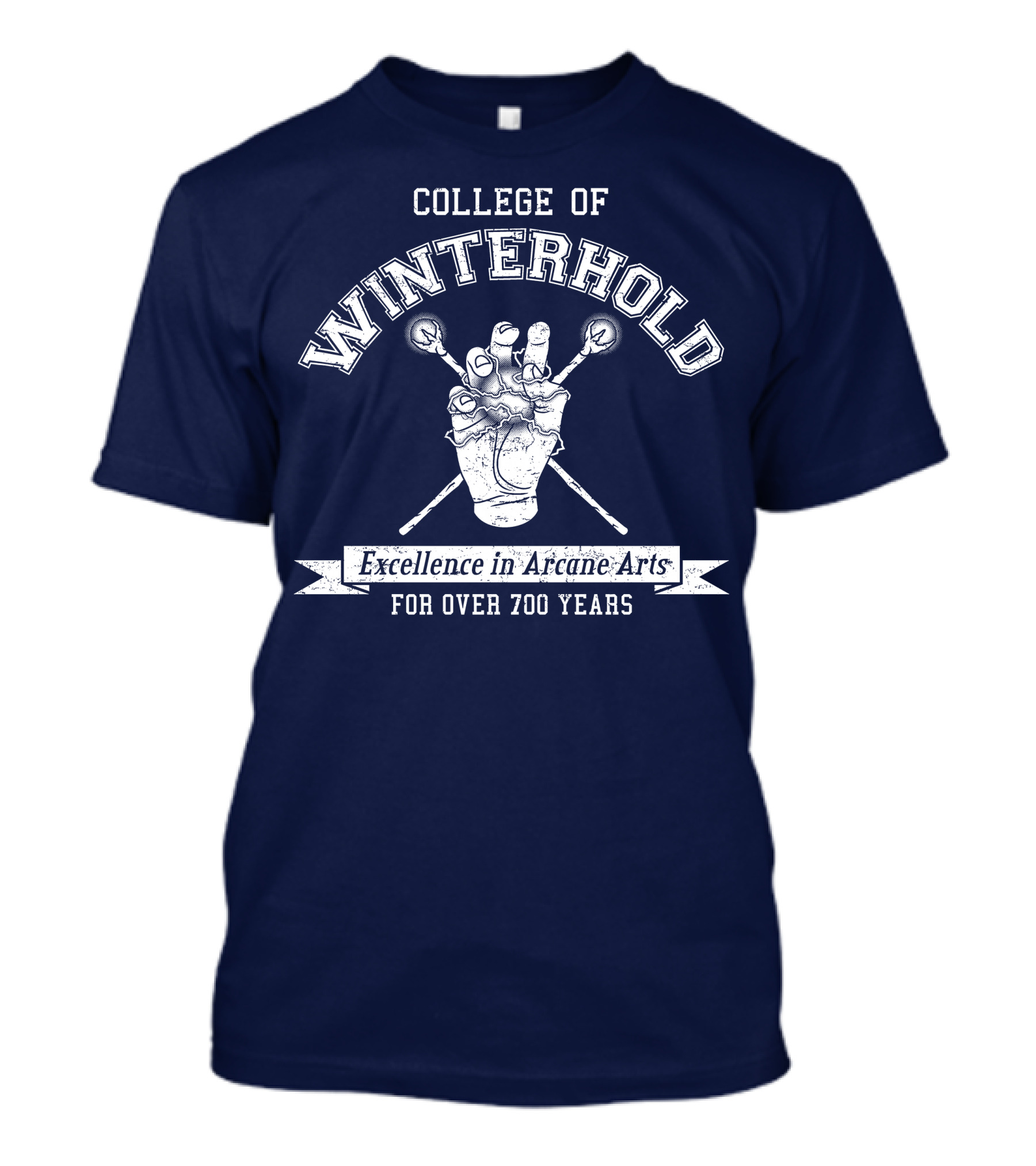 COLLEGE OF WINTERHOLD EXCELLENCE IN ARCANE ARTS FOR OVER 700 YEARS T-Shirt