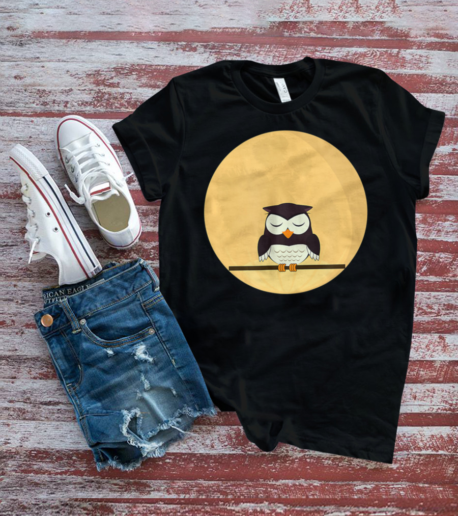 An Owl And The Full Moon Night Sky T-Shirt