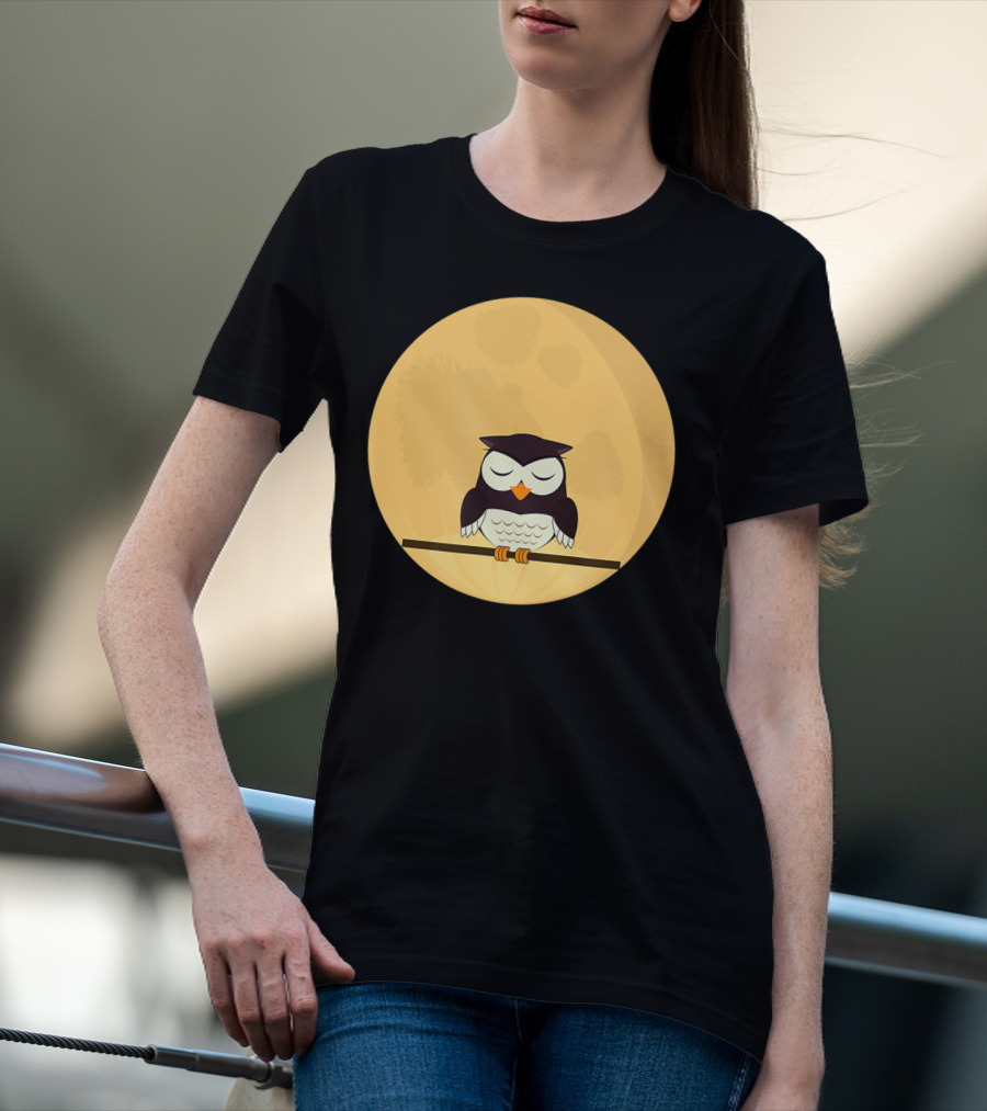An Owl And The Full Moon Night Sky T-Shirt