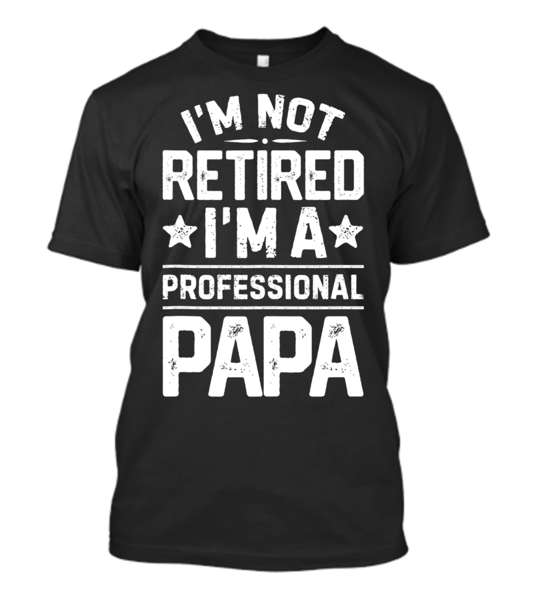 I'm Not Retired I'm A Professional Papa T-Shirt