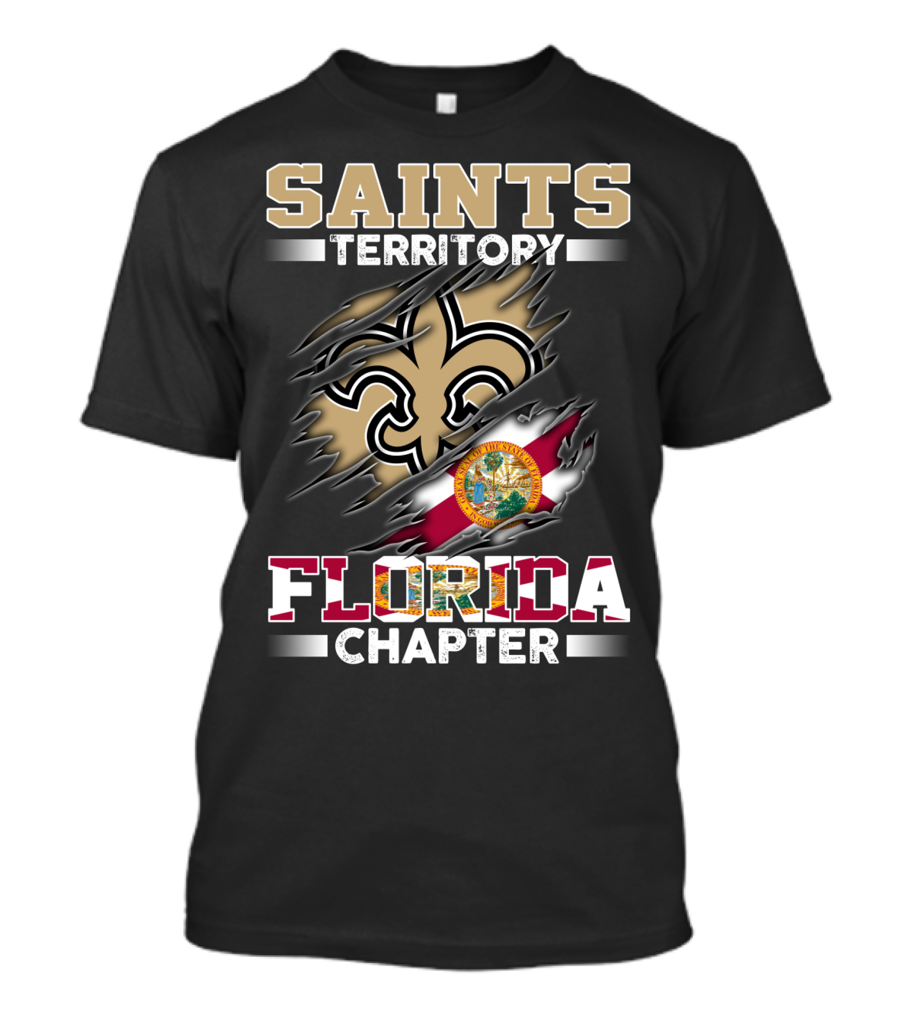 Saints Territory Florida Chapter State Seal And Symbols Torn T-Shirt