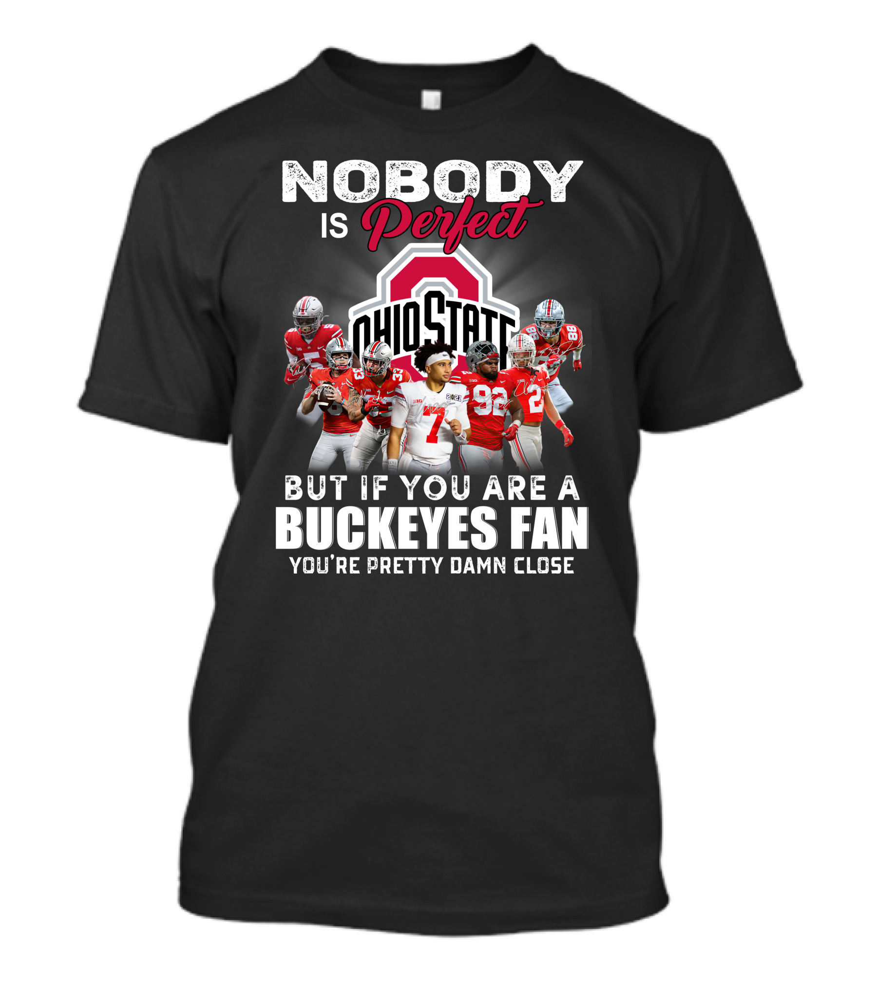Ohio State Buckeyes Perfect Football Team T-Shirt
