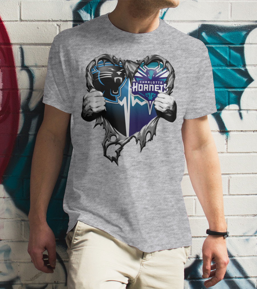 Carolina Panthers Charlotte Hornets Heart T-Shirt