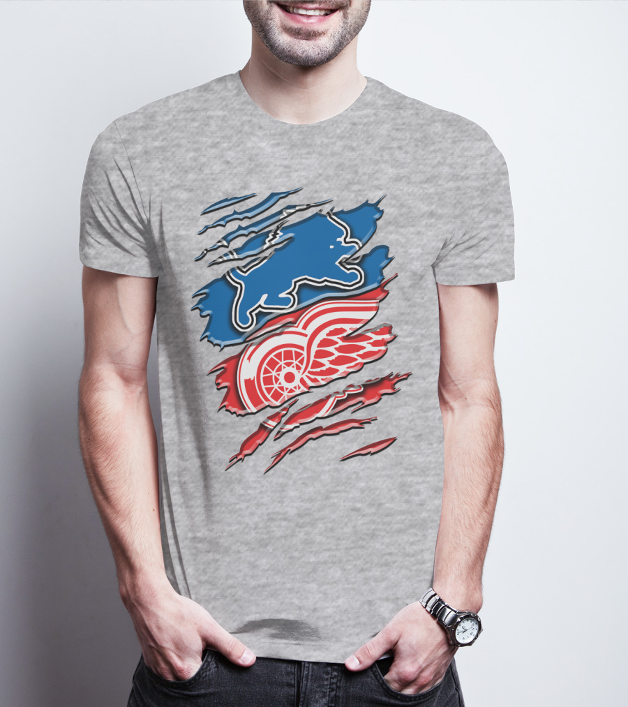 Detroit Red Wings Buffalo Sabres Vintage Mashup T-Shirt