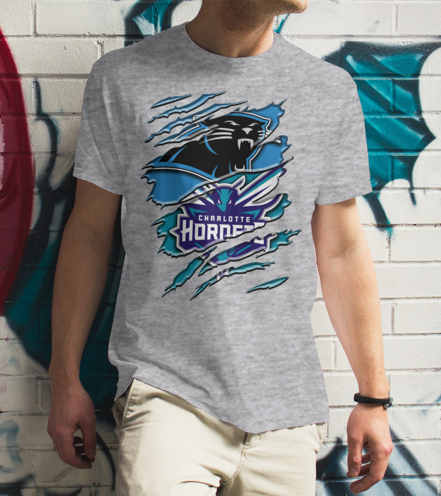 Panther And Charlotte Hornets Logo Rah T-Shirt
