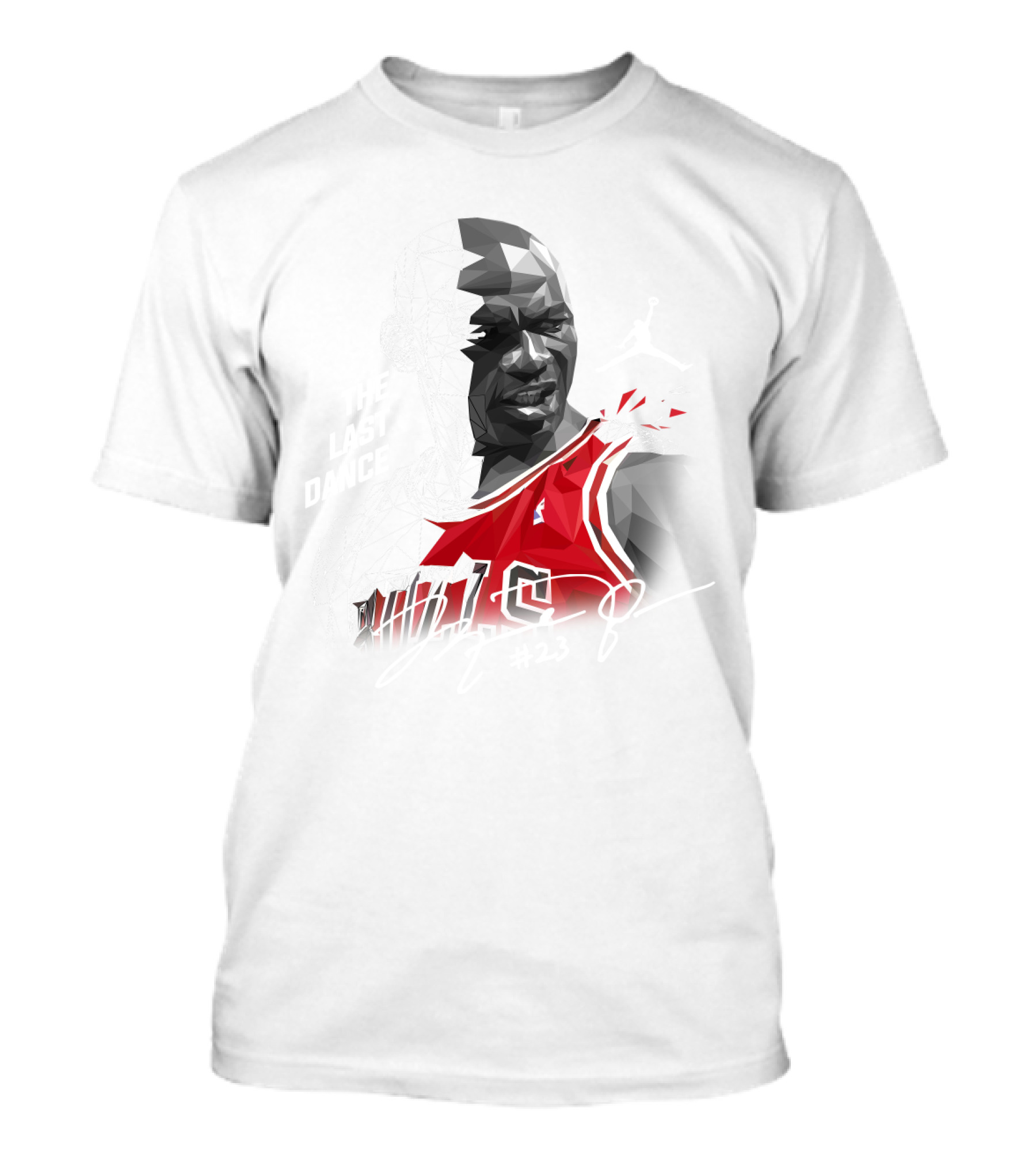 The Last Dance Jordan Bulls #23 Air Jordan Signature T-Shirt