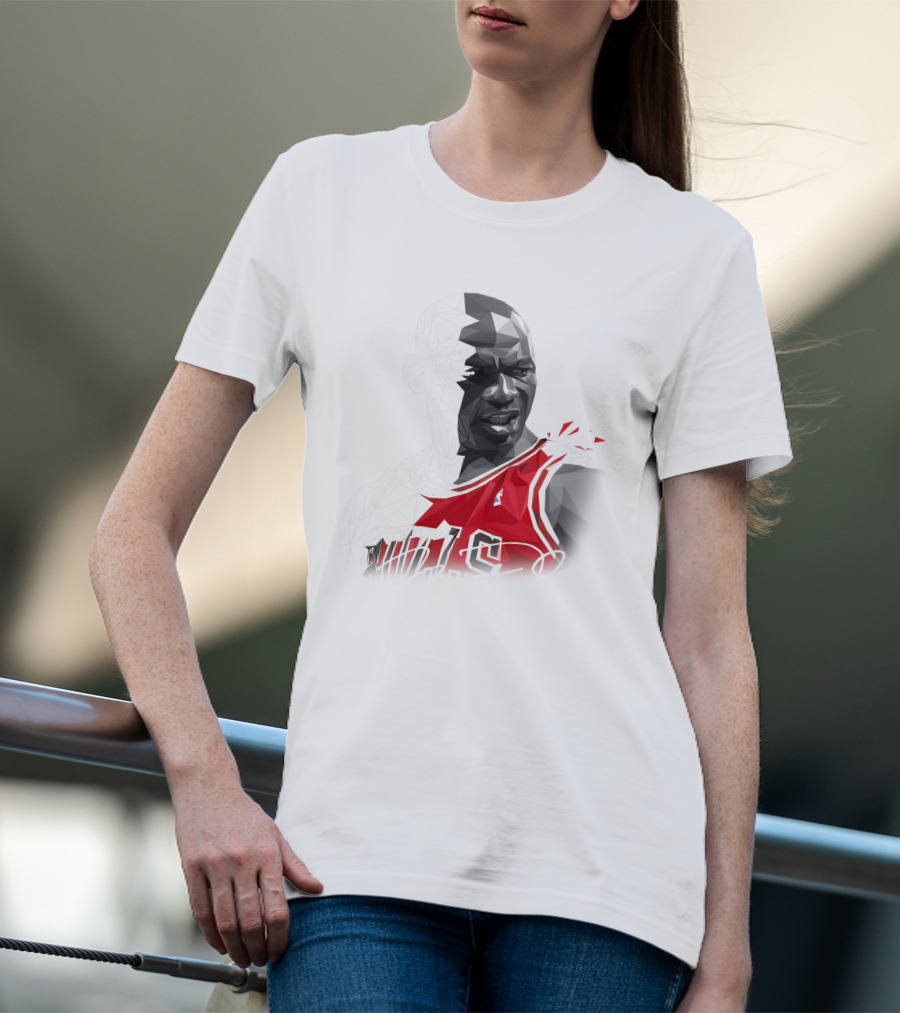 The Last Dance Jordan Bulls #23 Air Jordan Signature T-Shirt