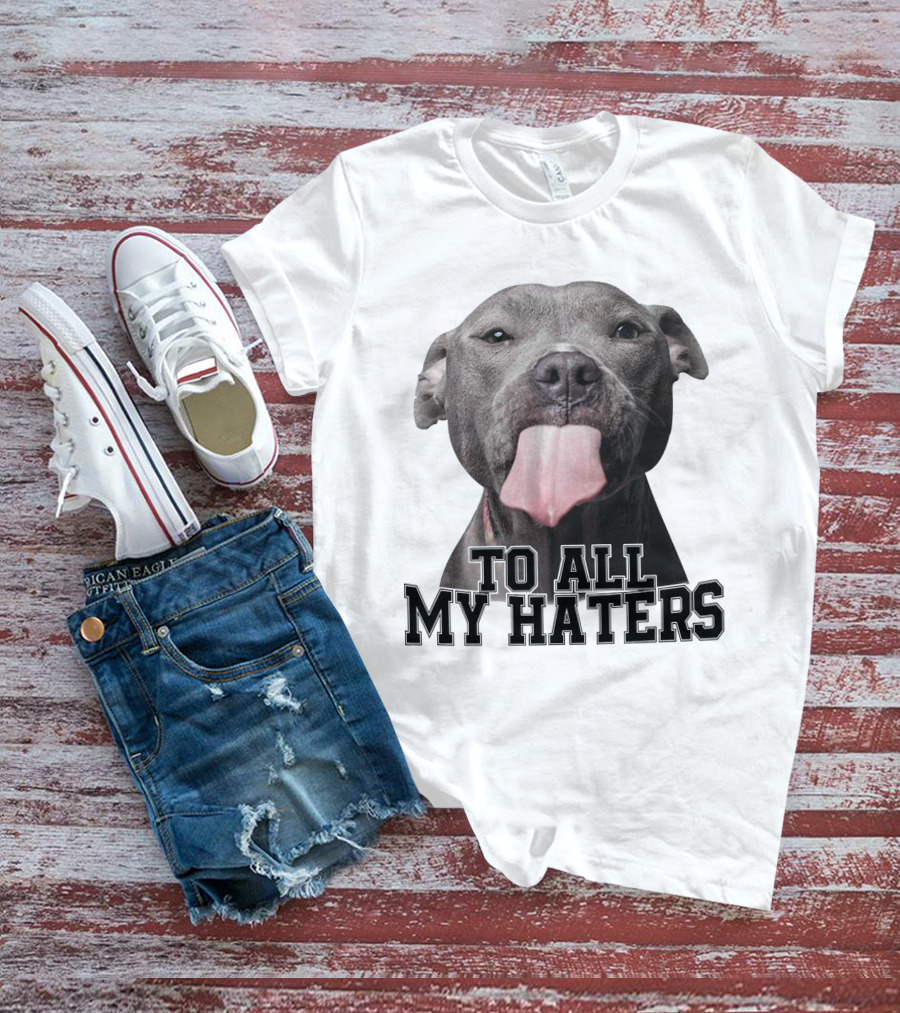 Pitbull To All My Haters Playful Expression T-Shirt