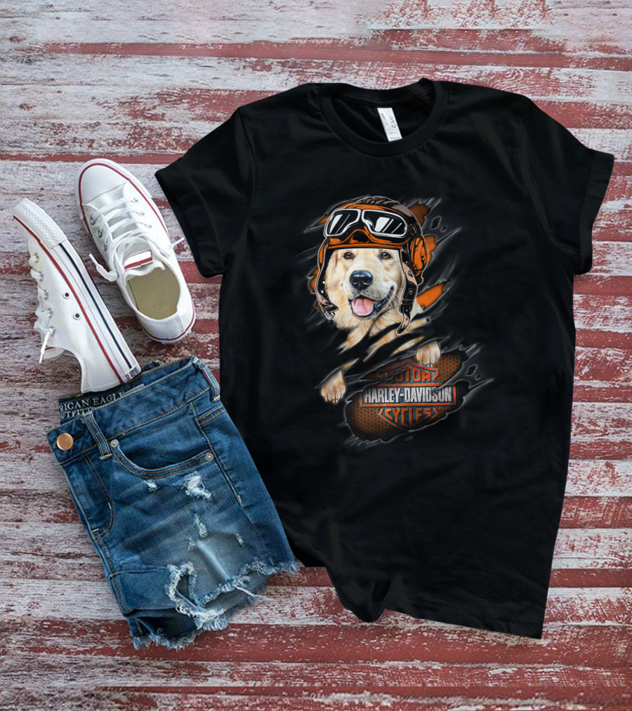Golden Retriever Wearing Biker Helmet With Harley Davidson Motorcycles T-Shirt