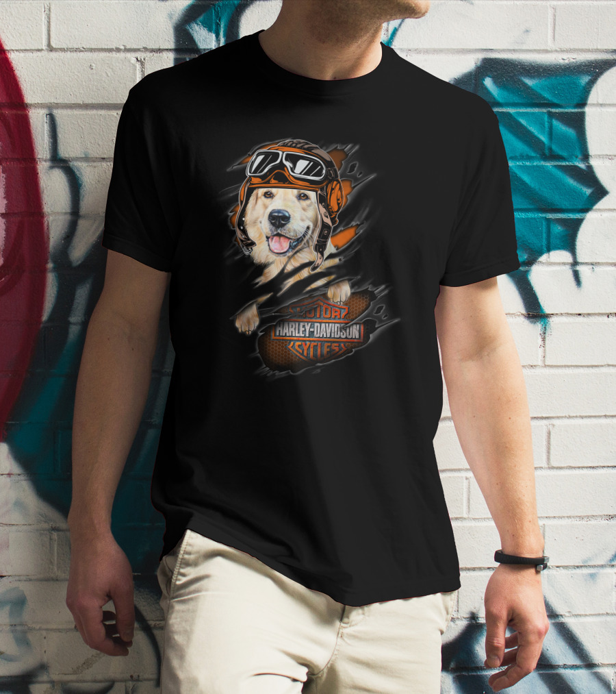 Golden Retriever Wearing Biker Helmet With Harley Davidson Motorcycles T-Shirt