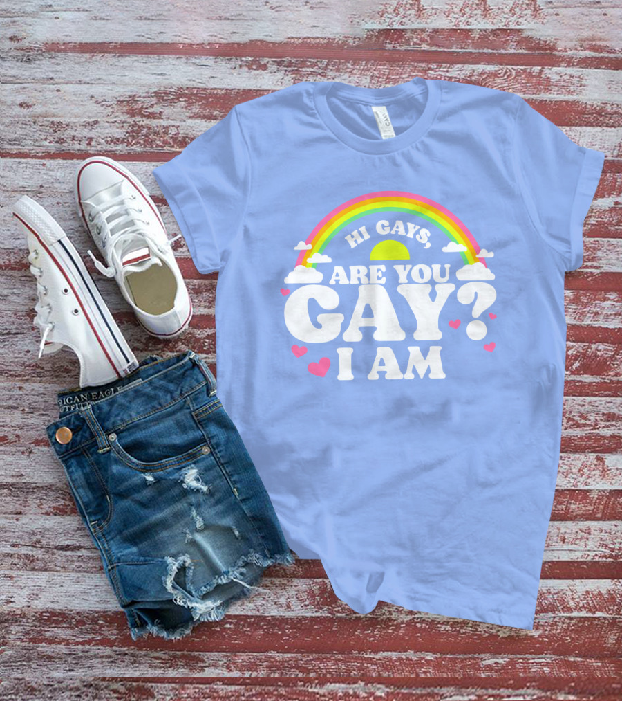 Chrissy Chlapecka Merch Hi Gays Are You Gay I Am With Rainbow And Hearts T-Shirt