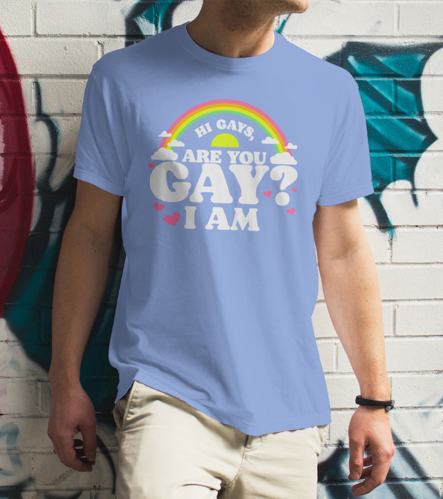 Chrissy Chlapecka Merch Hi Gays Are You Gay I Am With Rainbow And Hearts T-Shirt