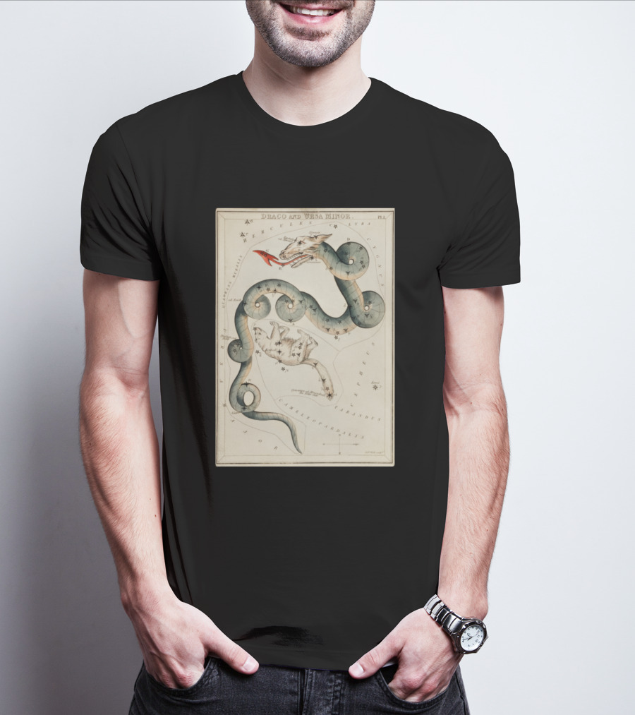 Draco And Ursa Minor Celestial Map T-Shirt