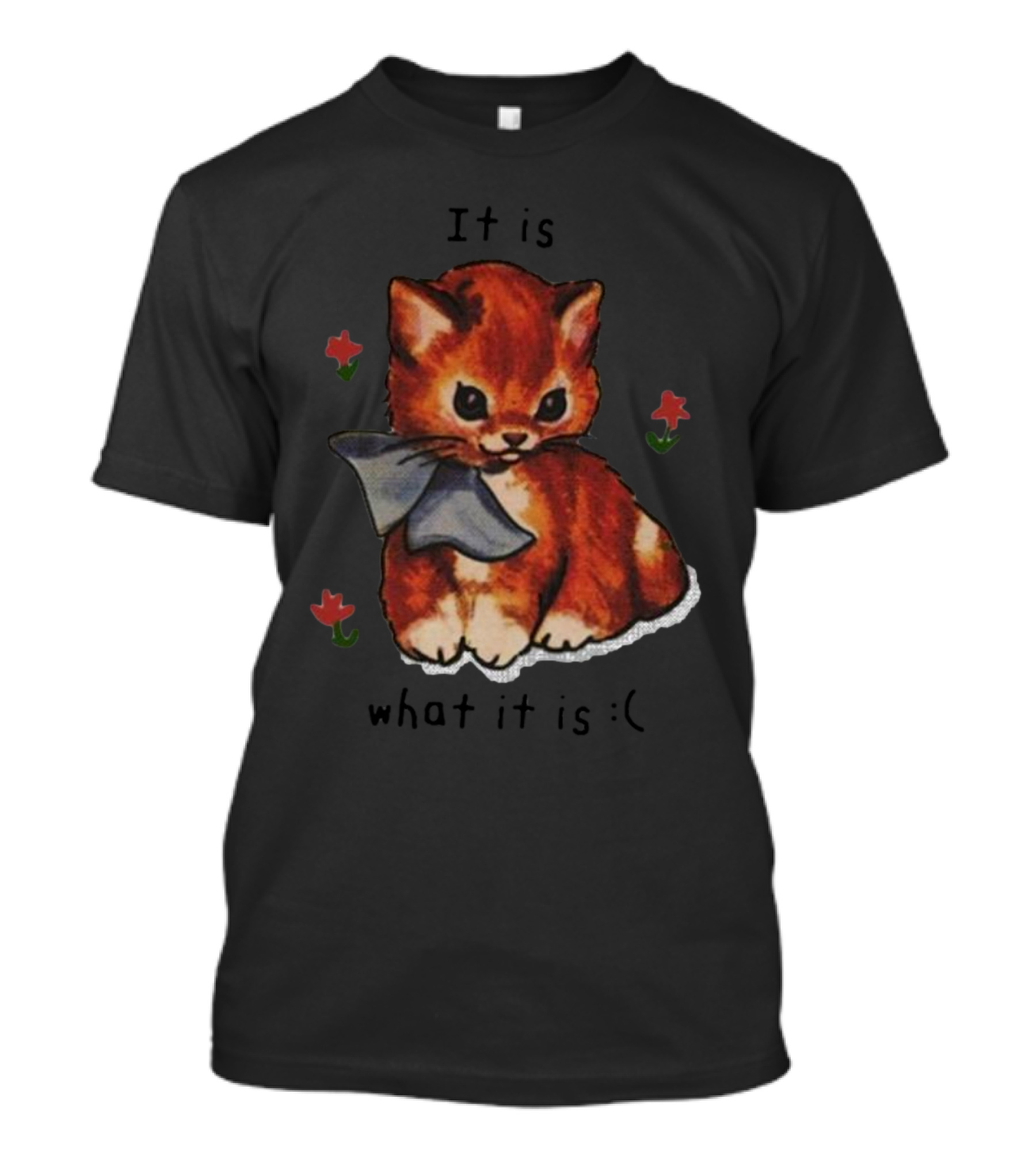 It Is What It Is Cat Sad Face With Flowers And Bow T-Shirt