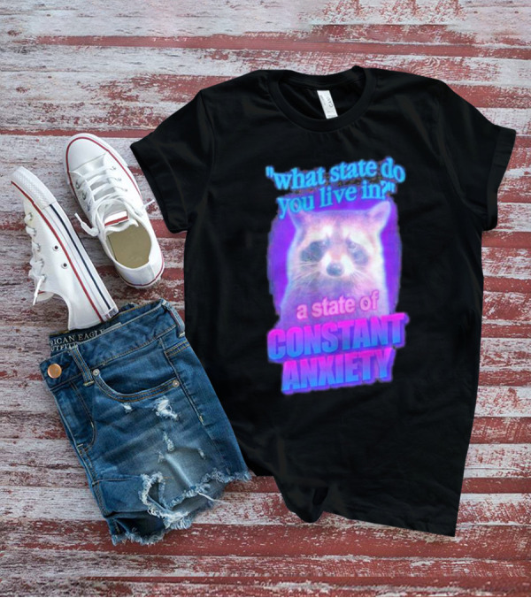 Raccoon In A State Of Constant Anxiety Meme T-Shirt