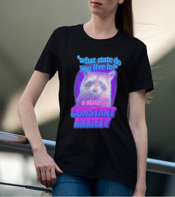 Raccoon In A State Of Constant Anxiety Meme T-Shirt