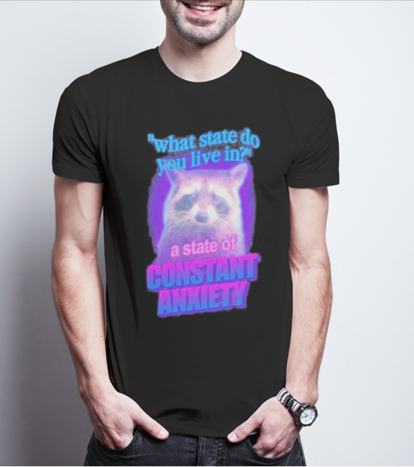 Raccoon In A State Of Constant Anxiety Meme T-Shirt