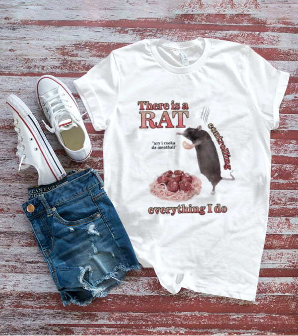 There Is A Rat Controlling Everything I Do Ayy I Cooka Da Meatball T-Shirt