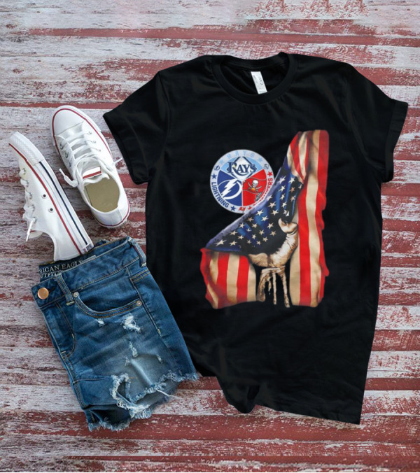 Tampa Bay Rays Lightning Buccaneers American Flag Fist T-Shirt