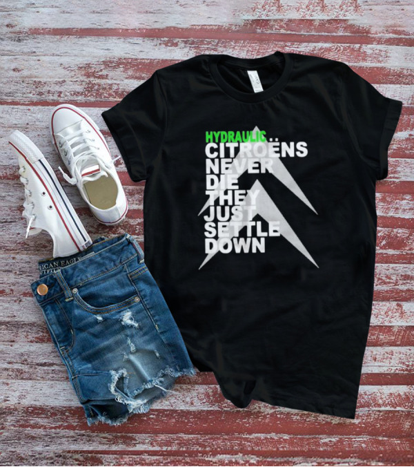 Hydraulic Citroens Never Die They Just Settle Down Chevrons T-Shirt