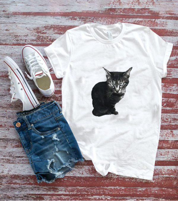 Smileymaya15 How Long Have I Been Here Kitten Cat Black Gray Tabby T-Shirt