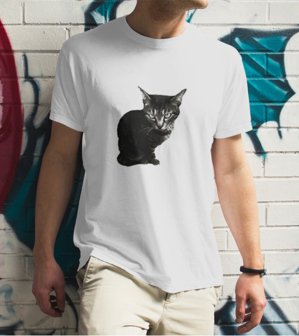 Smileymaya15 How Long Have I Been Here Kitten Cat Black Gray Tabby T-Shirt